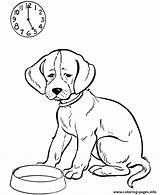 Coloring Dog Hungry Pages Printable sketch template