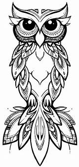 Owl Tattoo Outline Drawing Tribal Drawings Coloring Tattoos Cute Pages Mandala Eule Eulen Owls Hawaiian Designs Animals Uncolored Color Zeichnen sketch template