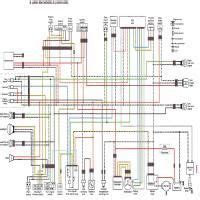 faq colored wiring diagram  sv models suzuki sv forum sv sv gladius
