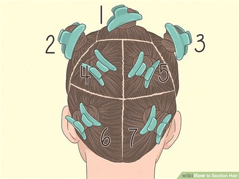 ways  section hair wikihow