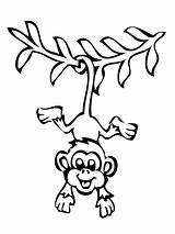 Monkey Coloring Pages Preschoolers Tree Monkeys Gaddynippercrayons Drawings Printable Kids sketch template