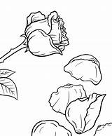 Petals sketch template