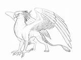 Griffin Gryphon Drawing Mythical Creatures Drawings Izora Gryphons Deviantart Creature Griffins Animal Sketches Phoenix Fantasy Cool Reference Mystical Getdrawings Bird sketch template
