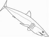 Shark Coloring Pages Reef Mako Color Drawings Tipped Printable Fish Print Drawing Tiger Designlooter Animals Shortfin Kids Getdrawings 540px 86kb sketch template