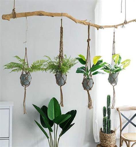 cozy hanging plant decor ideas    garden  hanging plants diy hanging plants indoor