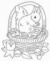 Herbst Automne Ecureuil Malvorlagen Coloriages Malvorlage Musim Ausdrucken Vorlagen Hundertwasser Eichhörnchen Luruh Drachen Erwachsene Animal Fussball Kertas Mewarna Tipss Bonne sketch template