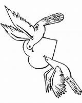 Dove Coloring Pages sketch template