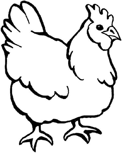 chicken cartoon pictures  clipartsco