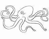 Octopus Pieuvre Coloriage Dessin Polvo Colorir Colorier Coloriages sketch template