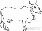 Cow Outline Clipart Animals Drawing Angus Cows Classroom Bull Animal Clip Classroomclipart Cattle Sketch Coloring Pages Getdrawings Indian Drawings Transparent sketch template