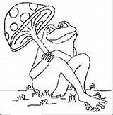 Anfibi Frog Disegno Stampa Coloratutto Colorare Pilimpintando sketch template