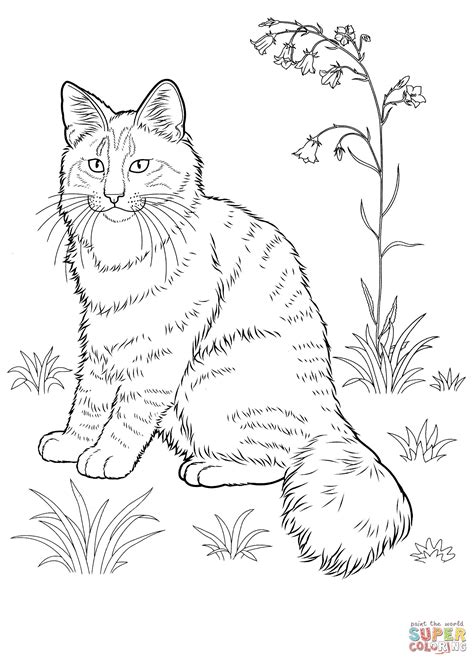 realistic cat coloring pages bubakidscom