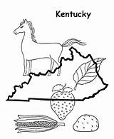 Kentucky Coloring State Pages Printable Printables Usa Map Outline Template Tree Ky Shape Go sketch template