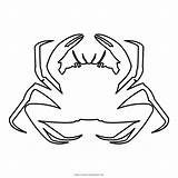 Crab Caranguejo sketch template