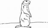 Prairie Dog Coloring Dogs Clipart Pages Prarie Clip Animals Erdmaennchen Drawing Drawings Cartoon Malvorlage Clipground Ausmalbild Tiere Popular Lone sketch template