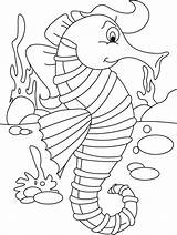 Seahorse Laut Kuda Mewarnai Sea Kartun Anak Warnai Everfreecoloring Moana Binatang Kidsplaycolor sketch template