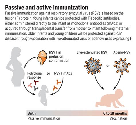 preventing respiratory syncytial virus rsv disease  children science