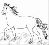 Horse Coloring Pages Mustang Appaloosa Printable Pony Wild Horses Pretty Quarter Herd Cute Color Getcolorings Paint Getdrawings Sheets Print Colorings sketch template