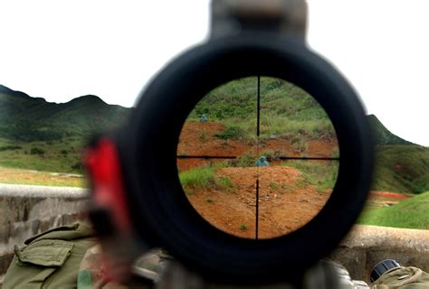 Rifle Scope Or Red Dot Which To Choose The Blog Of The