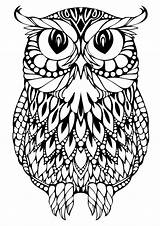 Coloring Pages Owl Abstract Adult Getdrawings sketch template