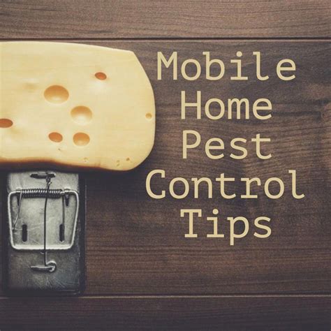 mobile home pest control tips homepestcontrol pesttreatmentpestcontrol