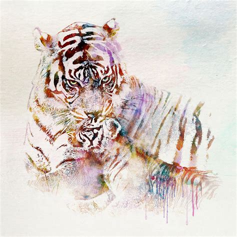 tiger  cub watercolor painting  marian voicu fine art america