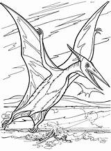 Pterodactyl Coloring Pages Great Children Perfect sketch template