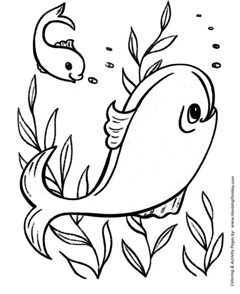 easy coloring pages  printable ocean fish easy coloring activity