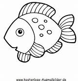 Ausmalbilder Fisch Fische Tiere Ausmalbild sketch template