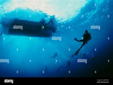 scuba divers underwater near the hull of the dive boat scuba is an