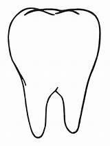 Tooth Teeth Molar Zubi Zahn Malvorlage Cavities Bojanke Clipartmag Shark Lapes Malvorlagen Cliparting Nazad Decu sketch template