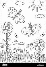 Grass Coloring Butterflies Flowers Spring Joy Themed Alamy Summer sketch template