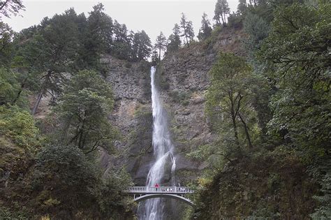multnomah falls reopens  restrictions