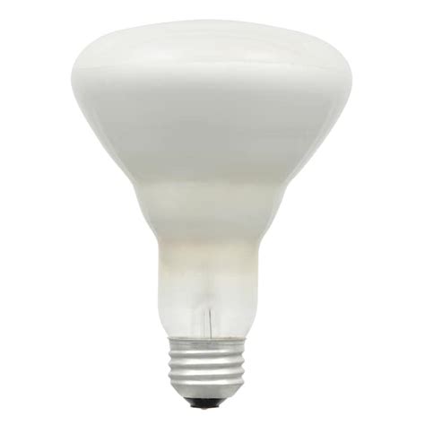 sylvania  pack  watt br soft white indoor incandescent flood light bulbs  lowescom