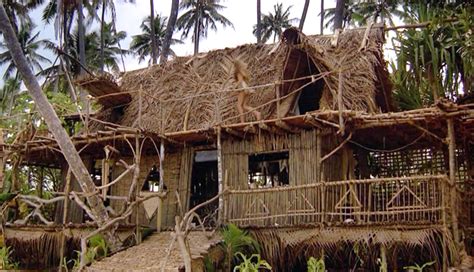 The Emerald Owl Constant Cravings Tree Houses