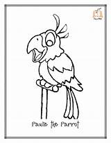 Parrot Perroquet Personnages Coloriages Printablefreecoloring sketch template