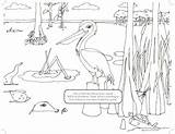 Book Coloring Wetlands River Water Coast Better Mississippi Louisiana Involved Delta sketch template