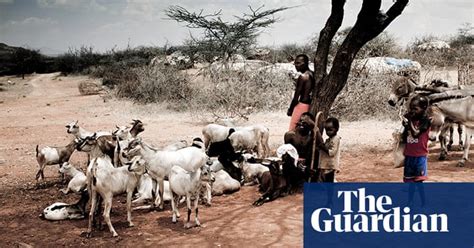 kenya s samburu tribe evicted from their land in pictures world news the guardian