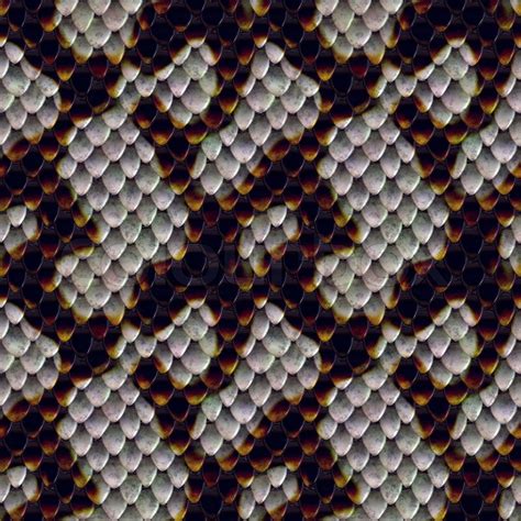 scaly snake skin texture  tiles seamlessly   pattern   direction stock photo
