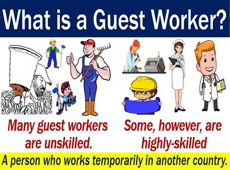 guest worker definition  meaning market business news