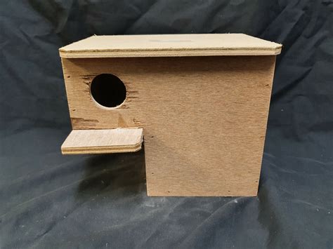 gouldian finch nest box plans ubicaciondepersonascdmxgobmx