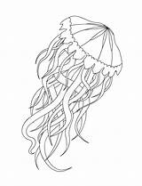 Meduse Zentangle Jellyfish Kwallen Boek Stilizzato Vectorillustratie Kleurende Medusa Achtergrond Witte Geïnspireerde Stijl Kleurend sketch template