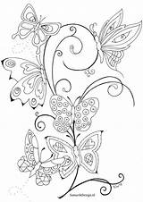 Kleurplaat Volwassenen Bloemen Kleurplaten Vlinders Vlinder Butterflies Volwassen Omnilabo Uitprinten Makkelijk Regenboog Downloaden Afbeeldingen Dieren sketch template