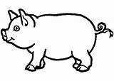 Coloring Pig Template Pages Outline Print Drawing Animal Templates Farm Vector Printable Kids Animals Draw Clipart Patterns Craft Premium Mini sketch template