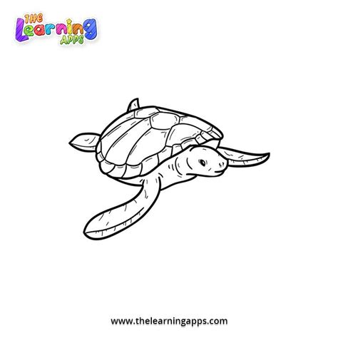 pin  sea animals coloring printables