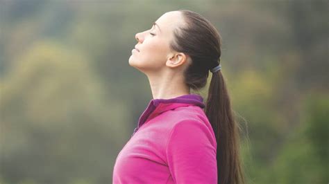 learn  concepts  healthy breathing merrithew blog