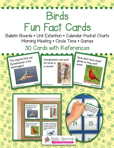 birds fun facts cards printable activity sallie borrink fun facts