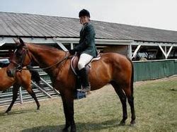 english riding tips rashelles blog  horse lovers