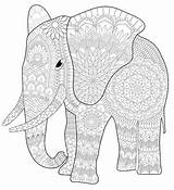 Mandalas Elefante Elefantes Pintar Bordar sketch template