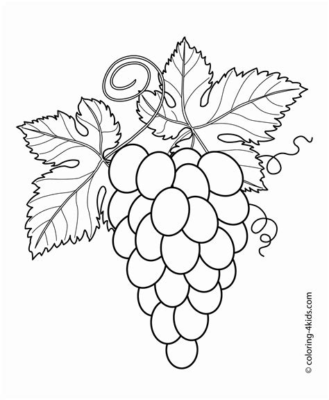 grape coloring pages coloring home